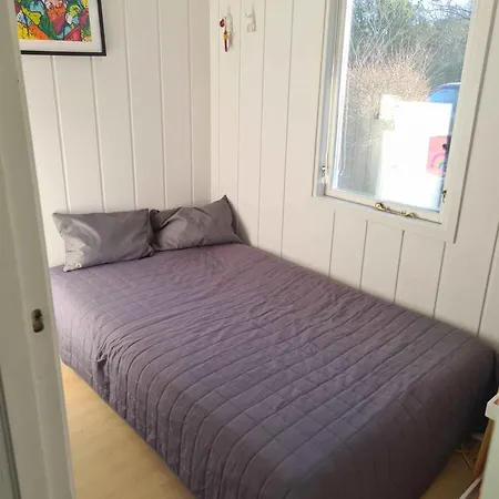 Lovely Full Of Atmosphere